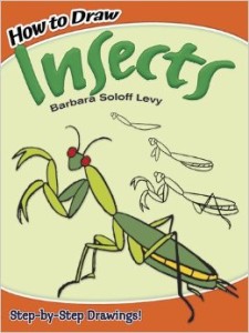 How to Draw Insects