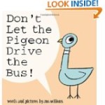 pigeon