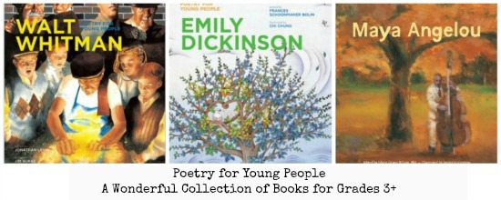 #Poetry for Young People Book Series | thelibraryadventure.com