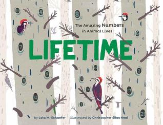Lifetime: The Amazing Numbers in Animals Lives Lifetime: The Amazing Numbers in Animals Lives